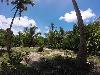 Vacant Lot Suitable for Resort for Sale in Siargao Island